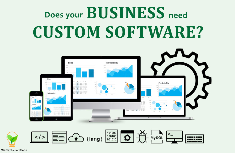 Anything You Need To Know About Custom Softwares